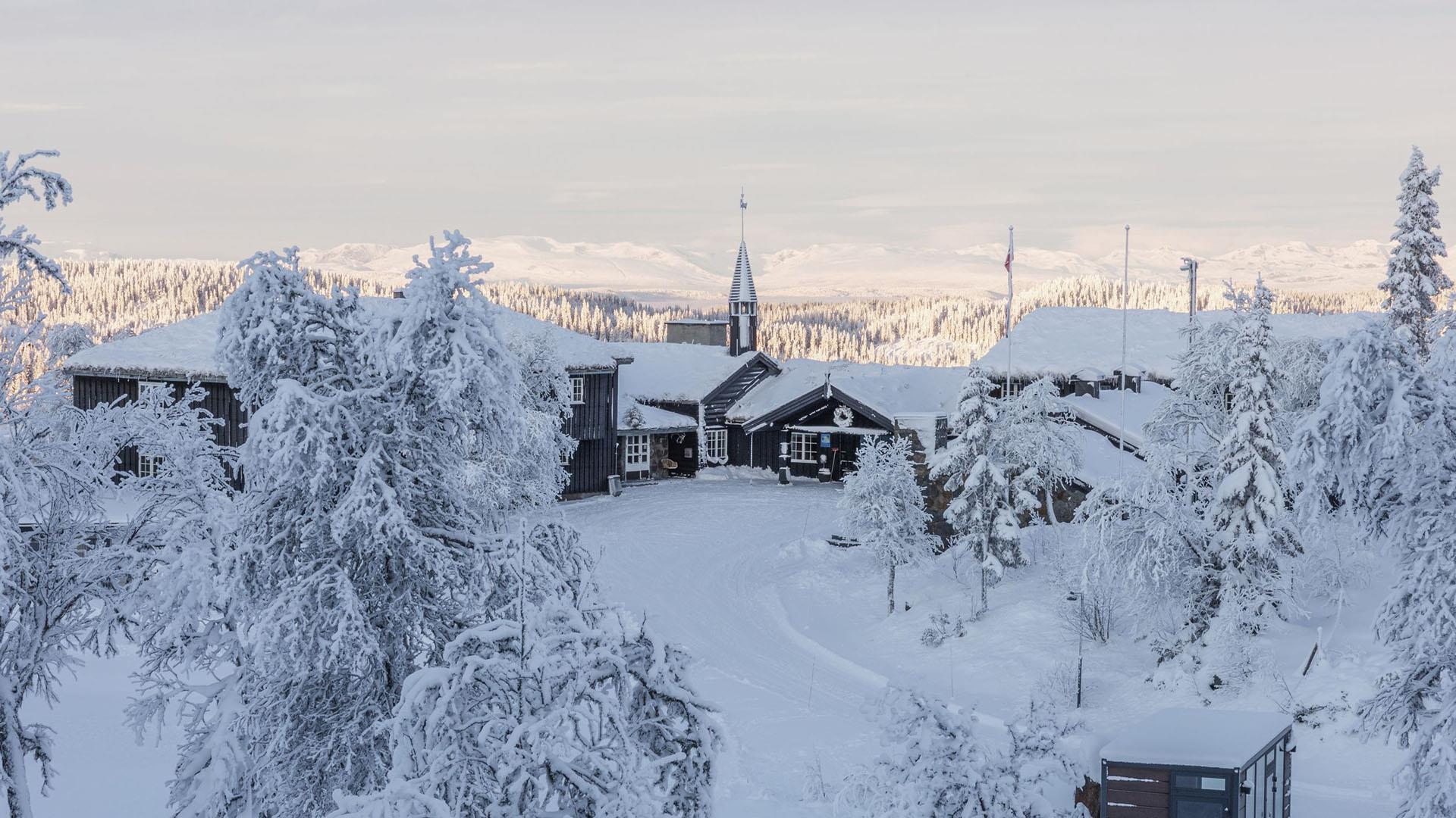Danebu i full vinterbekledning. Masse snø på trærne