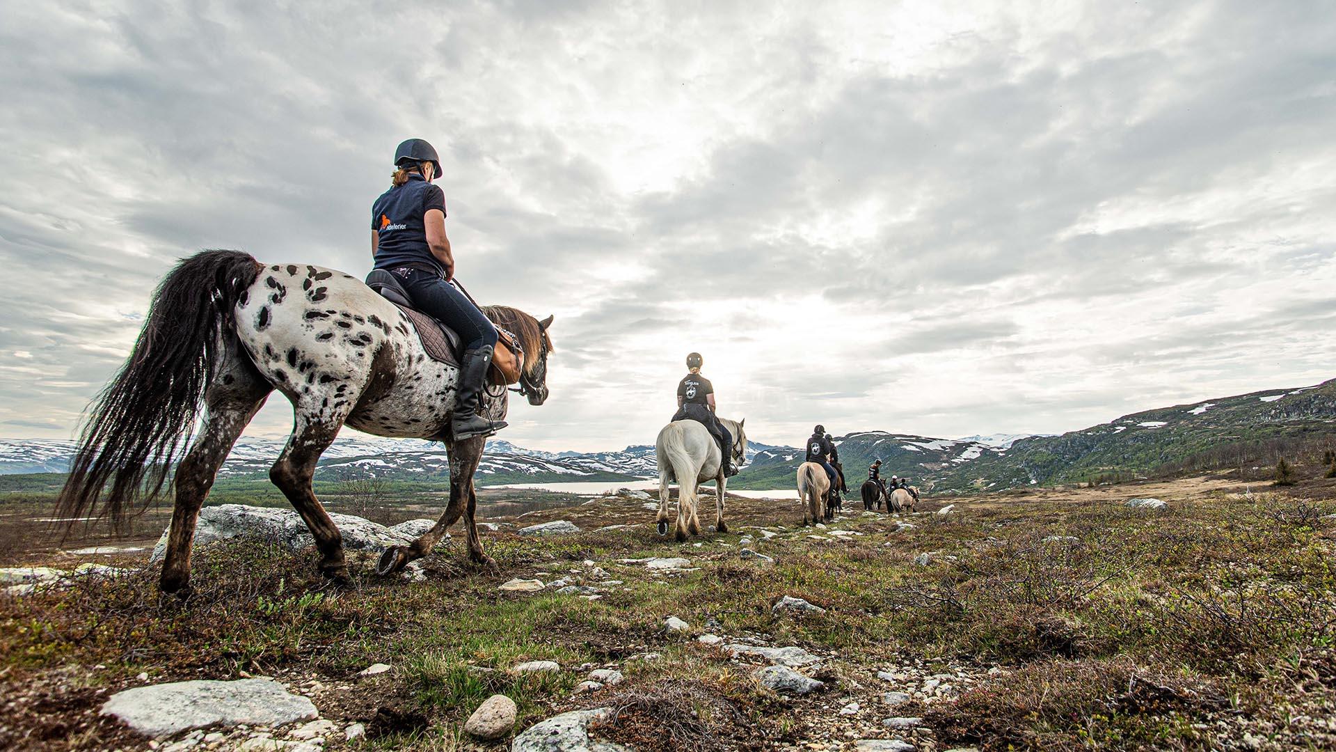 A group og horseback riders in open high mountain landscape. The closest horse is white with many dark dots.