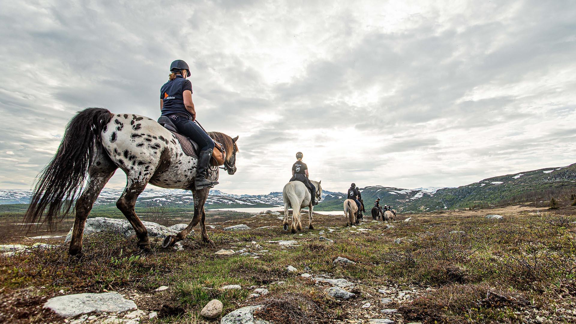 En gruppe ryttere i høyfjellslandskap. Den nærmeste hesten er hvit med mange brune flekker.