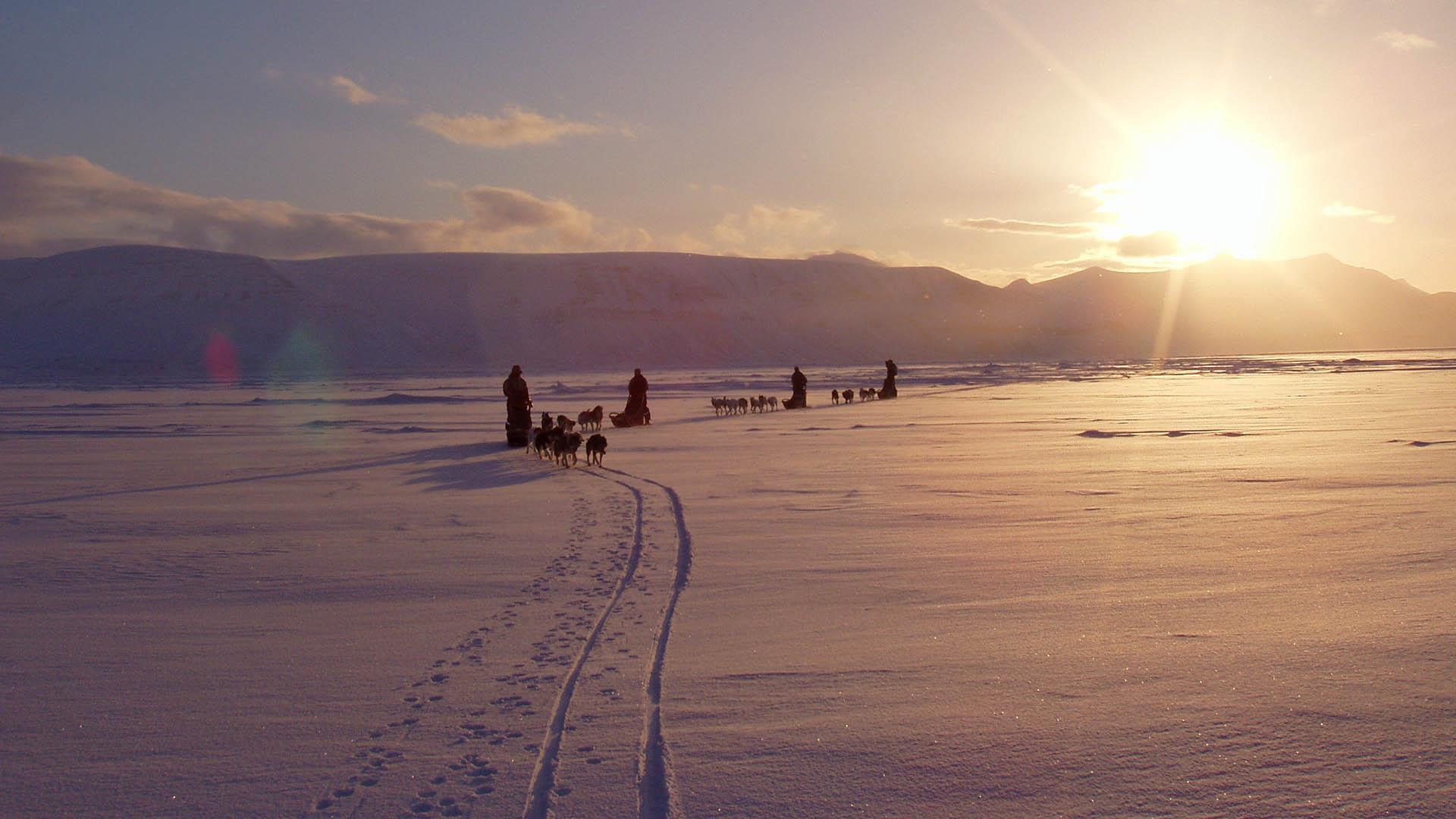 Three dog sledding teams on a snow-covered lake during sunset.