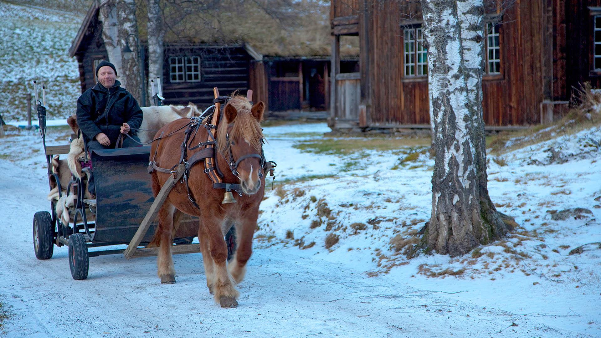 En brun kaldblodshest trekker en reinskinnkledd vogn med kusk forbi gamle hus i Valdres Folkemuseum. Bakken er drysset med snø.