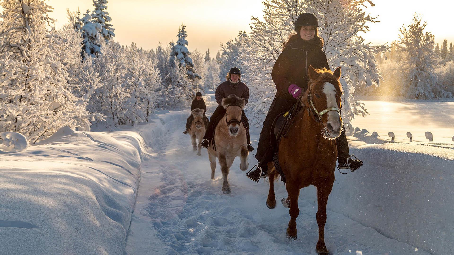 Three horseback riders along a snowy road in snow-covered landscape under a low winter sun