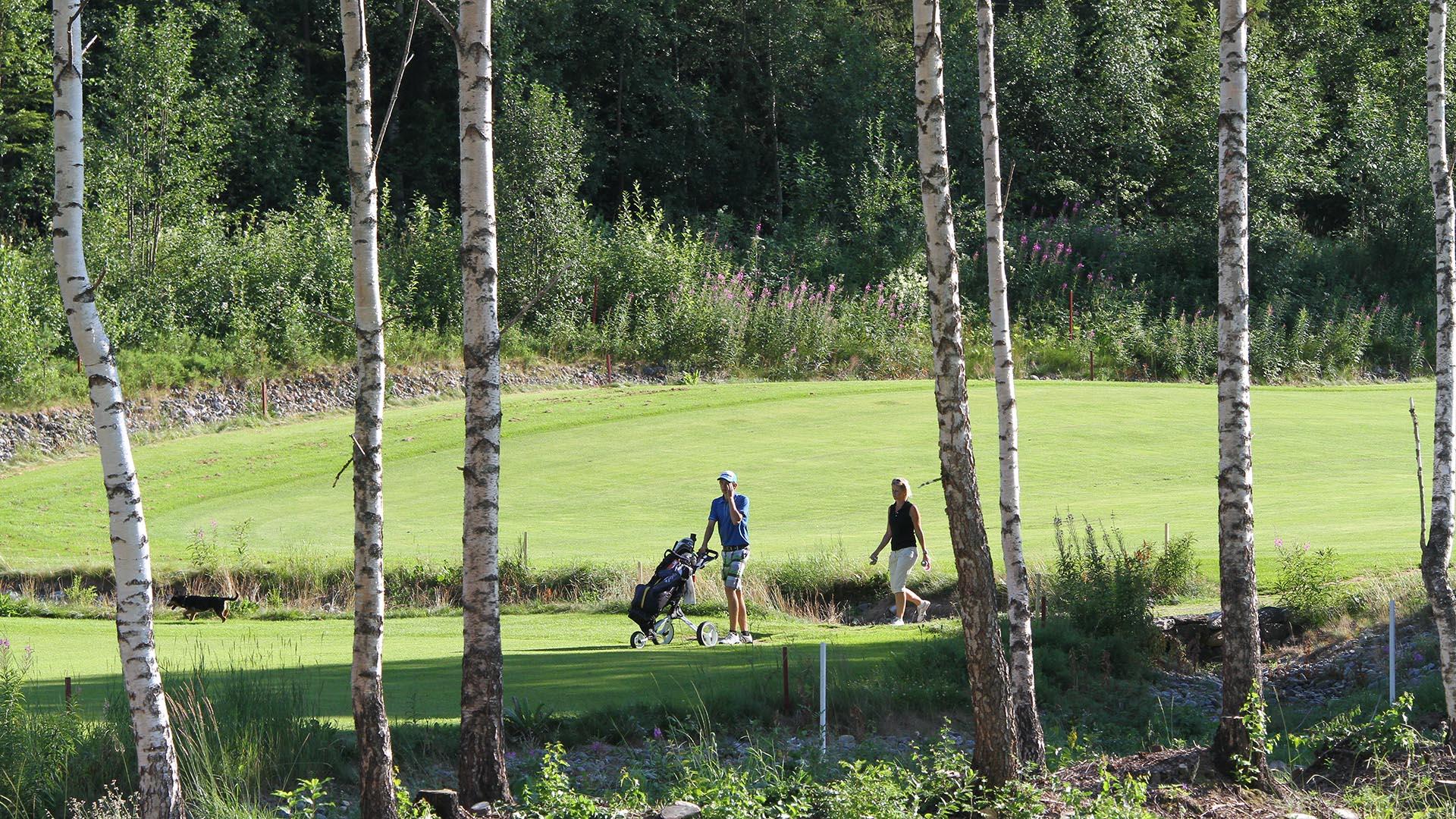 Golfspillere går mellom hull Valdres Golf