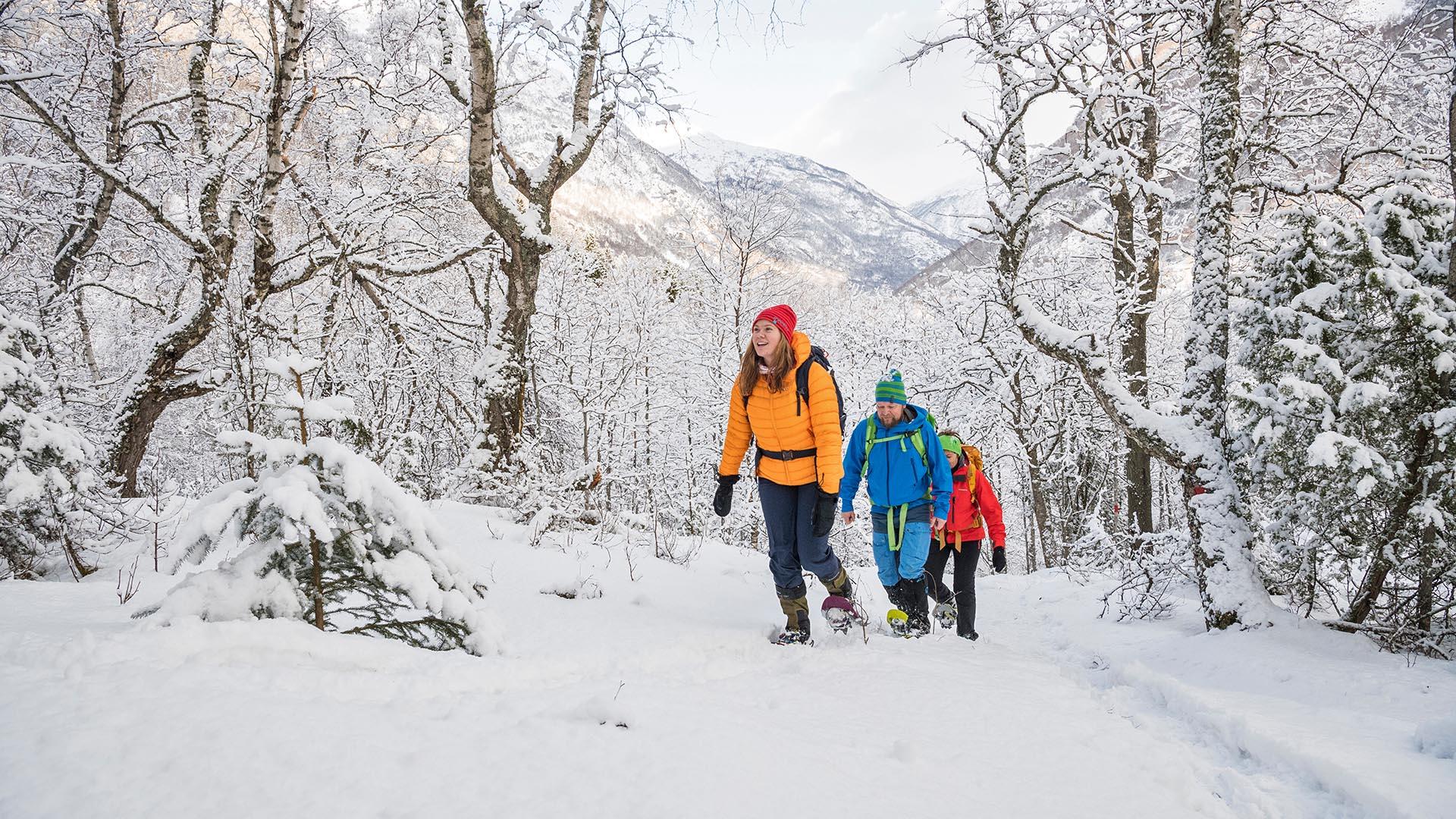 Family on a  snowshow trip in the woods