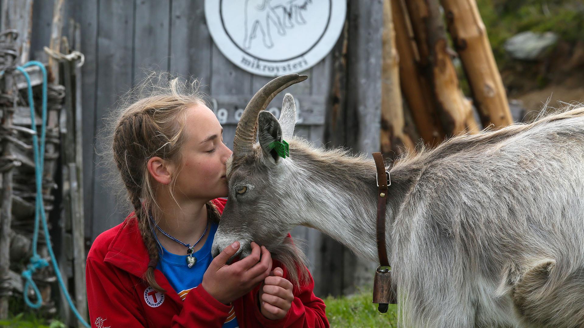 Girl huddling a goat.