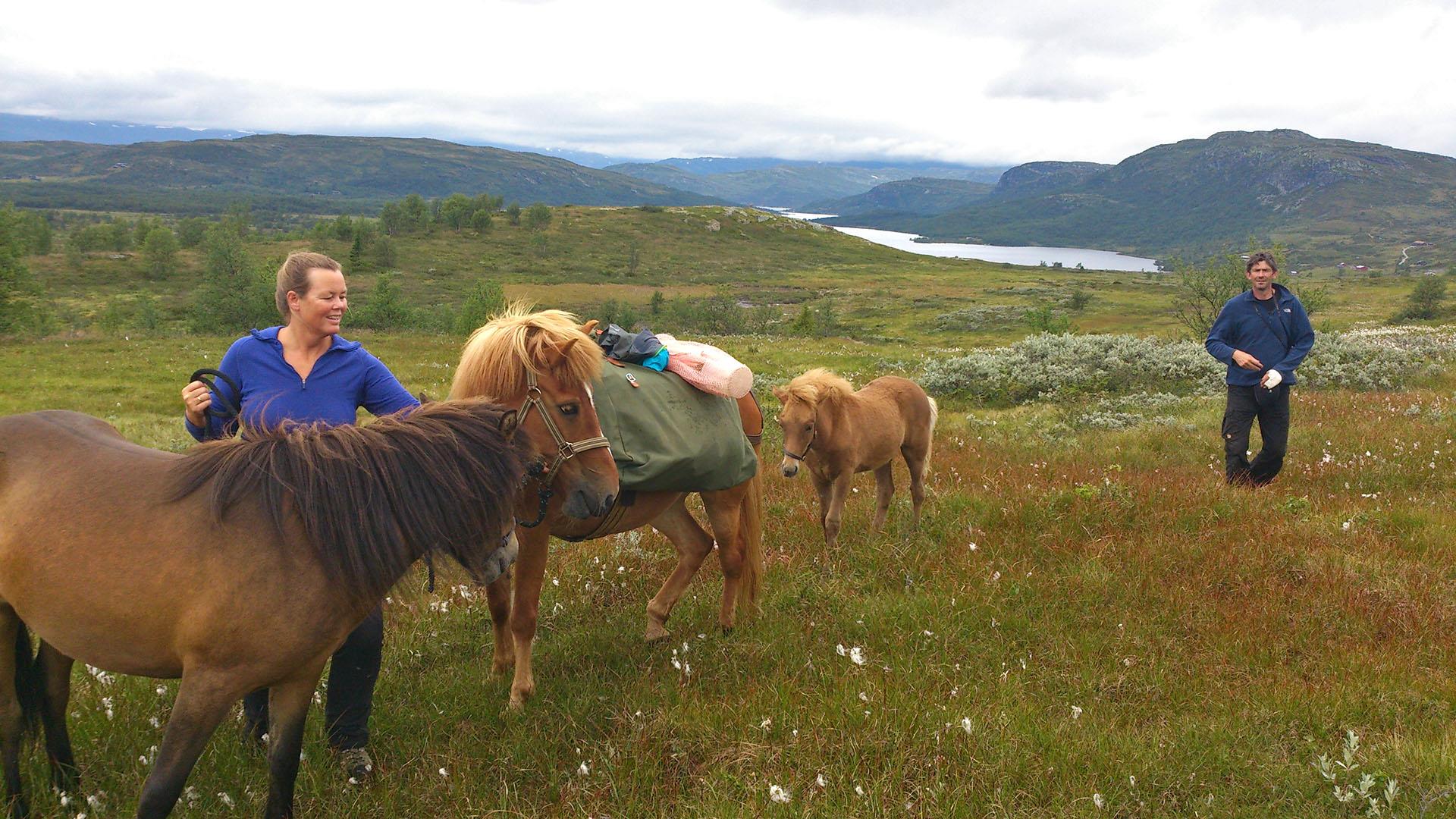 People and horses in beatiful surroundings.