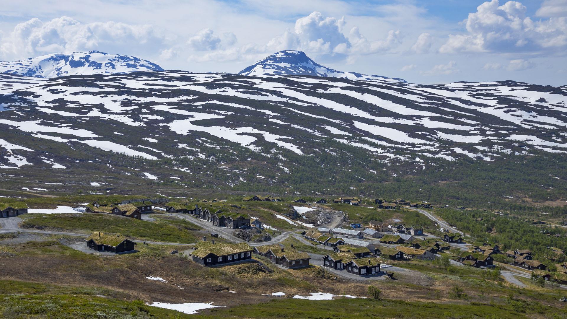 Børrelia ved Tyinkrysset