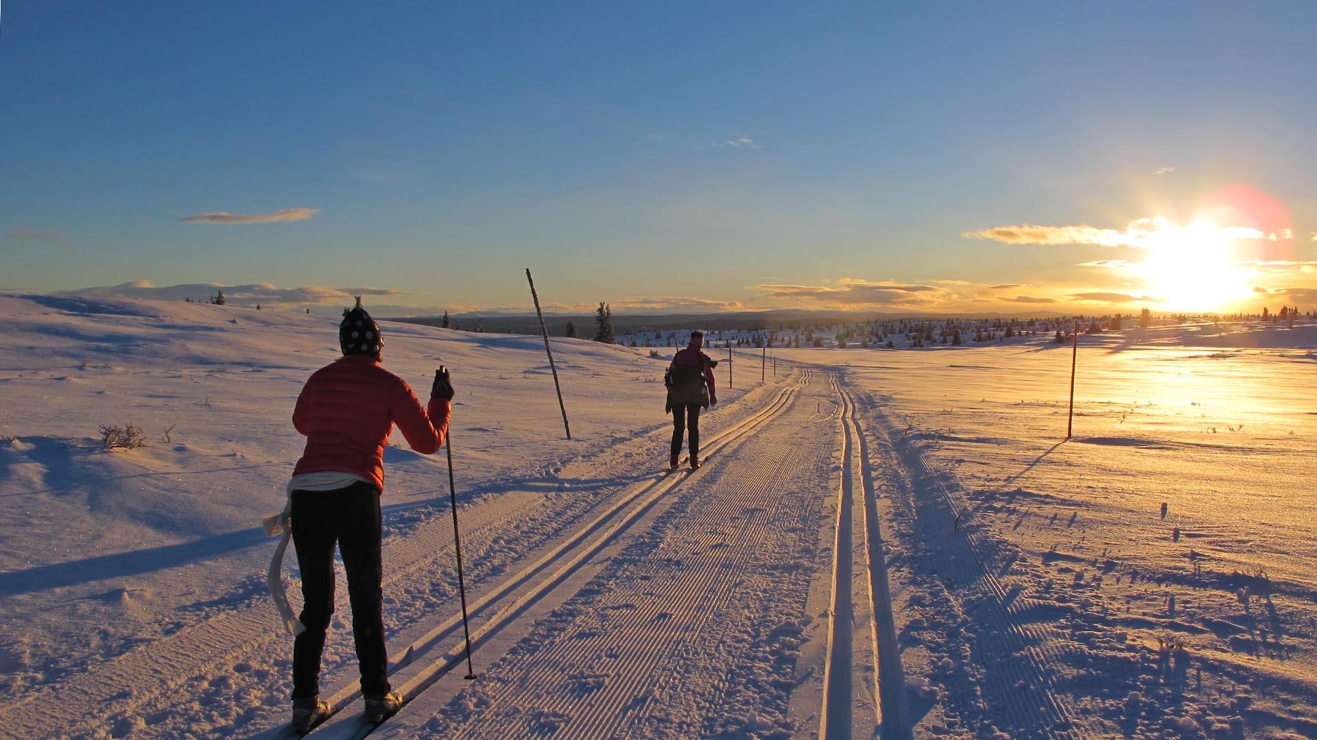 Langrennsløpere i solnedgang på Golsfjellet