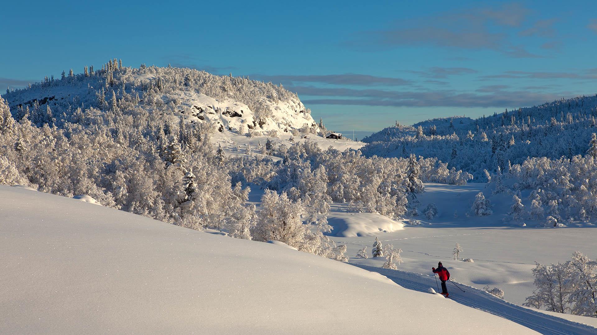 Mann i forgrunnen på skitur i Tisleidalen.