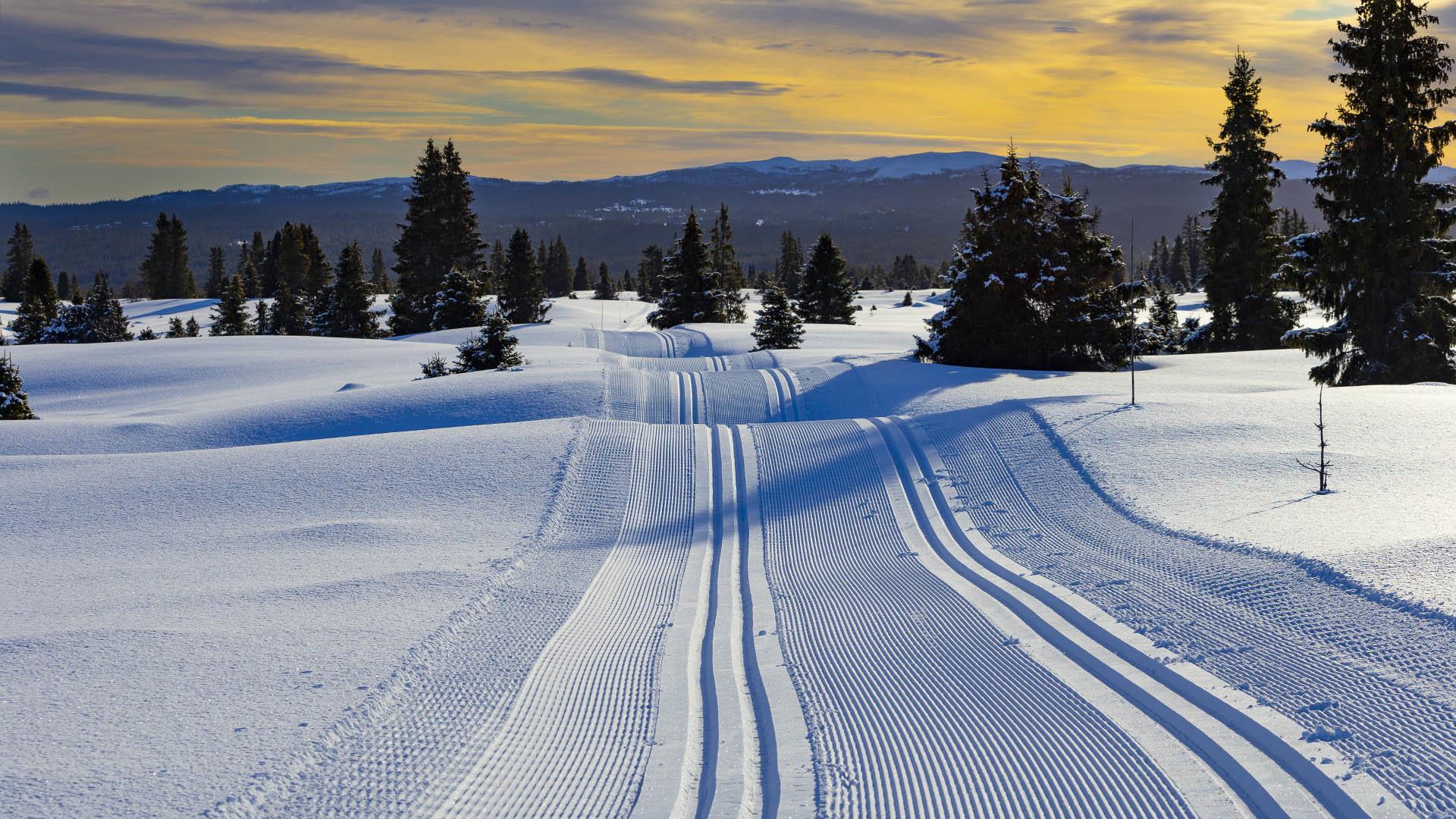 Prepared cross country tracks in sundown in Tisleidalen.