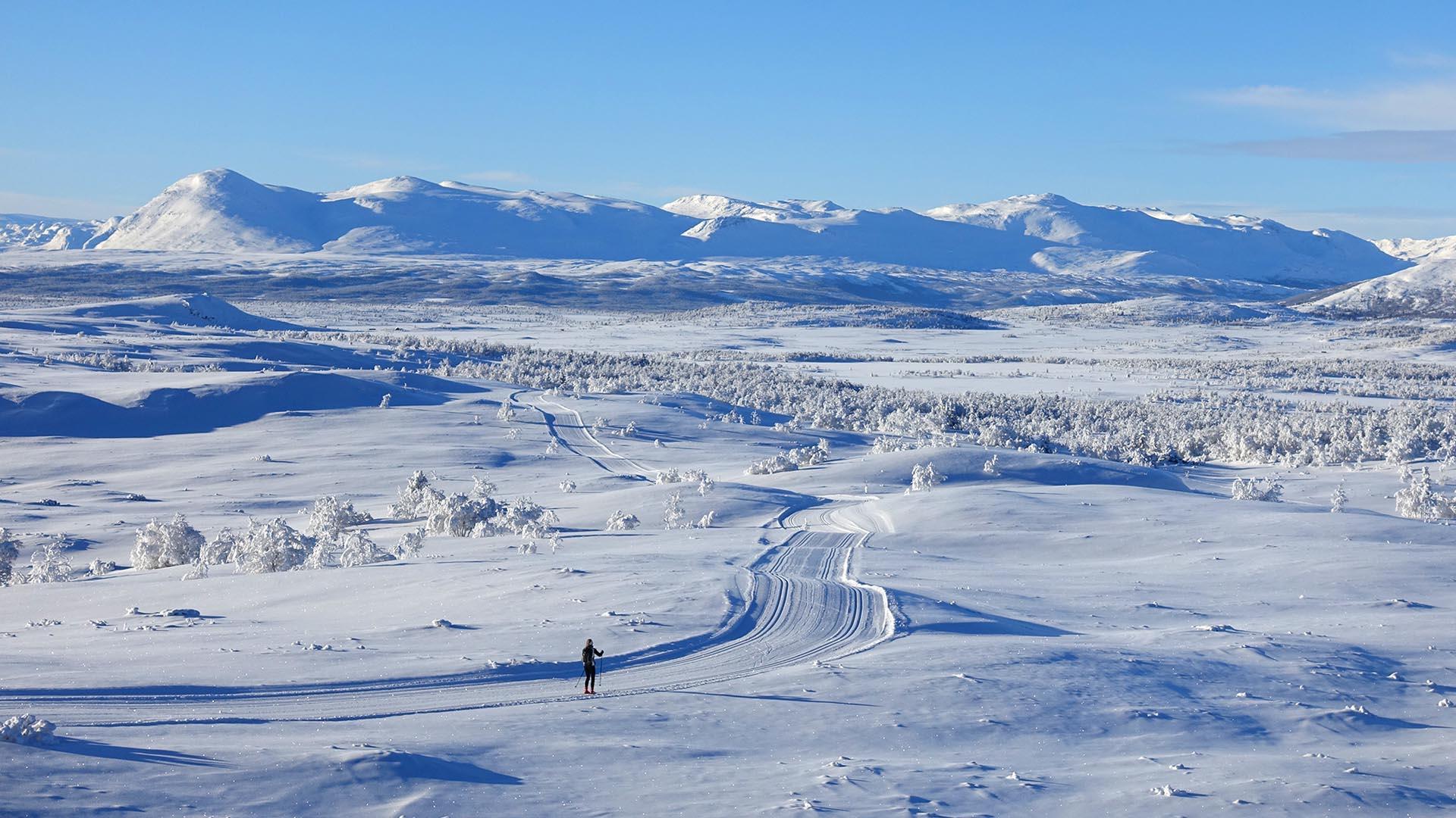 Skiløyper på Vaset i forgrunnen, slettelandskap og snødekte fjell i bakgrunnen en skyfri vinterdag.