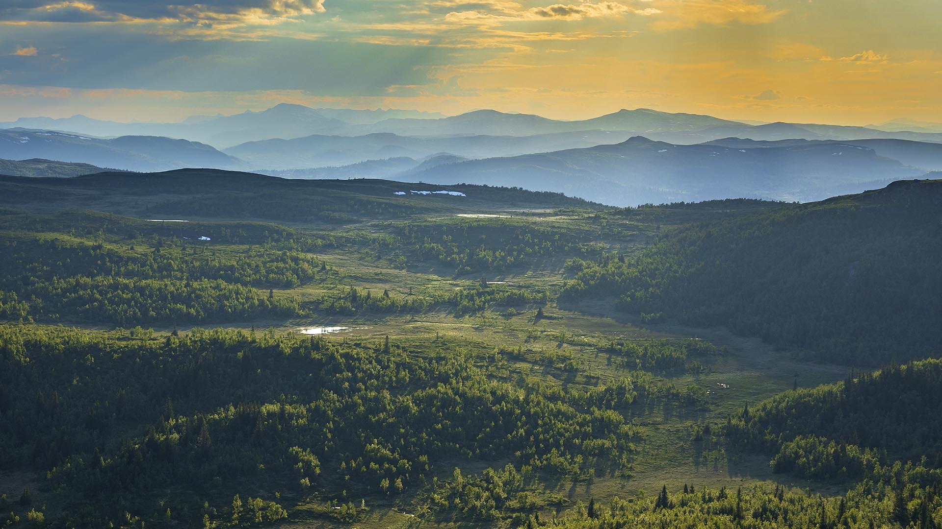 Great view over the Langsua national park with forest in the foreground and small hills in the background