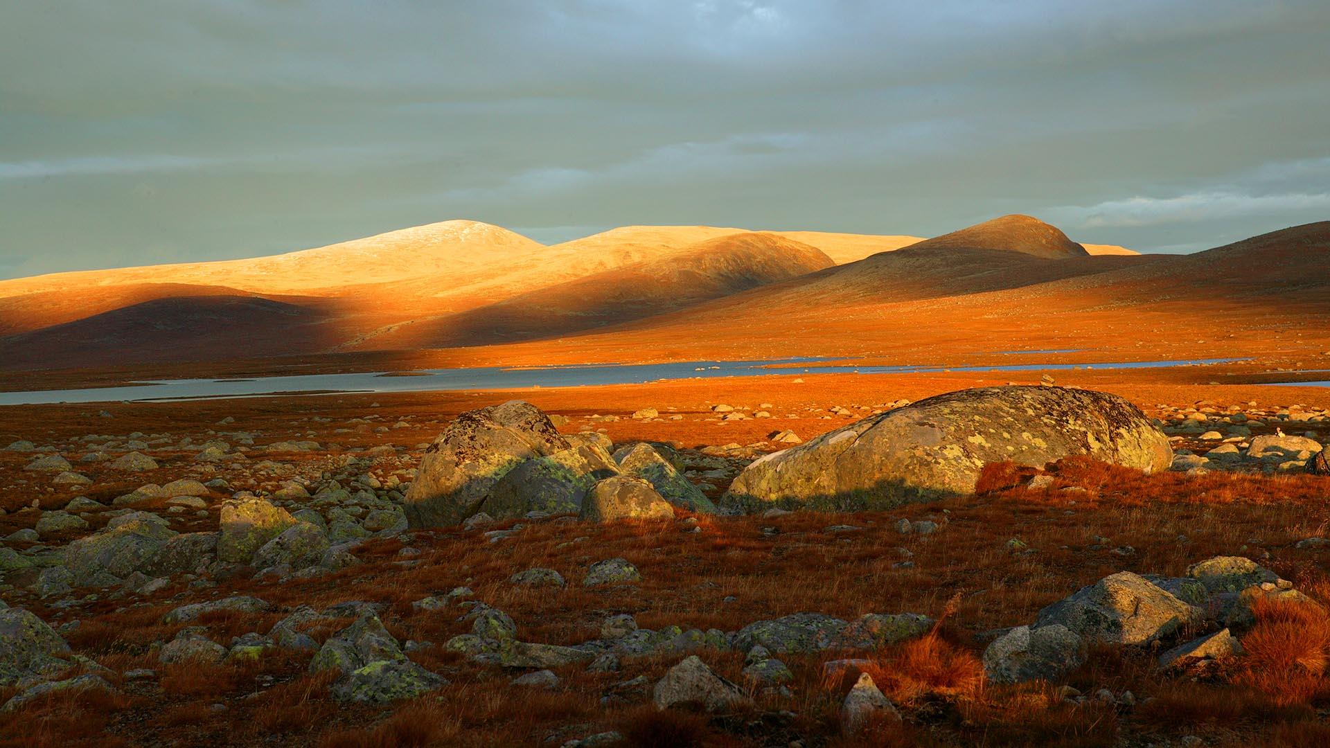 Valdresflye, a mountain plateau with wavy mountain landscape in autumn colours.