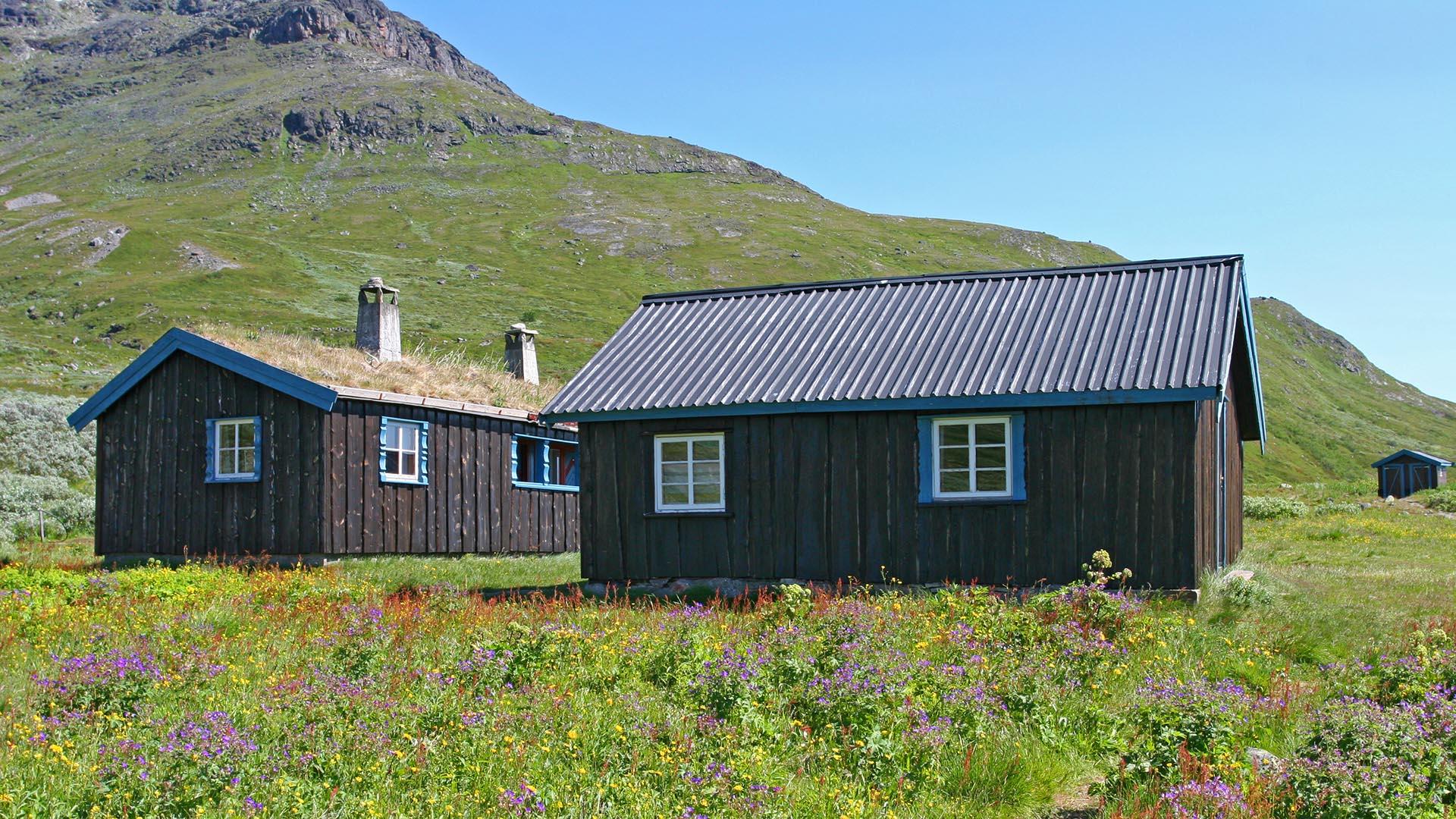 To brune hytter med blå vinduskarmer i en sommereng med lilla blomster på fjellet.