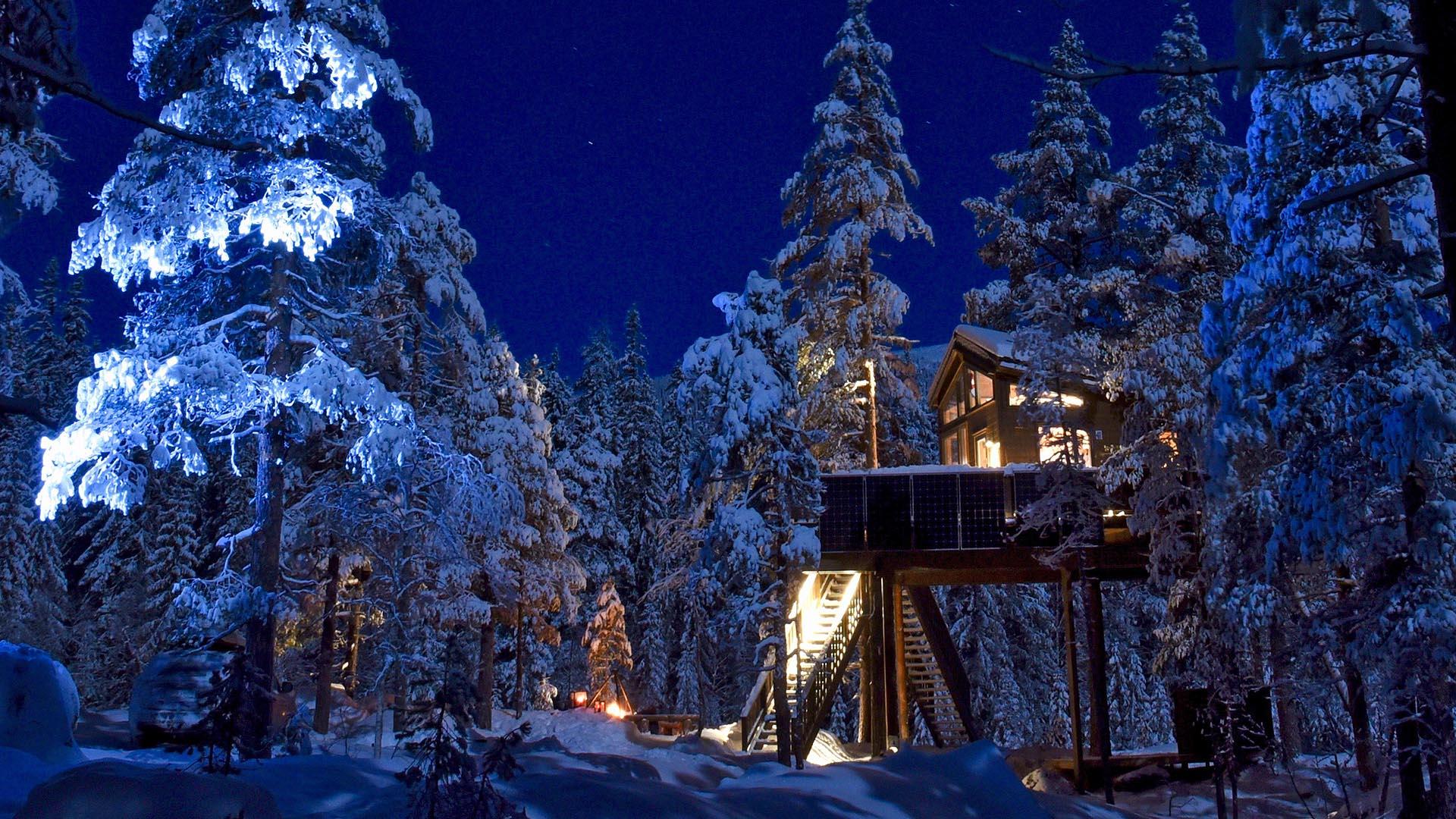 A treetop cabin in teh winter forest by night. The light from the cabin light up the heavyly snow-covered pine trees and the night sky in dark blue.