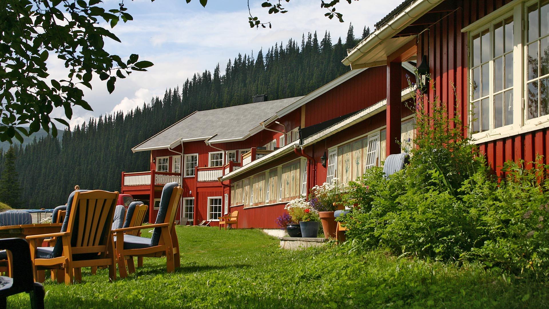 Sitting area under a tree outside a red wooden lodge with bushes and flower pots along the wall