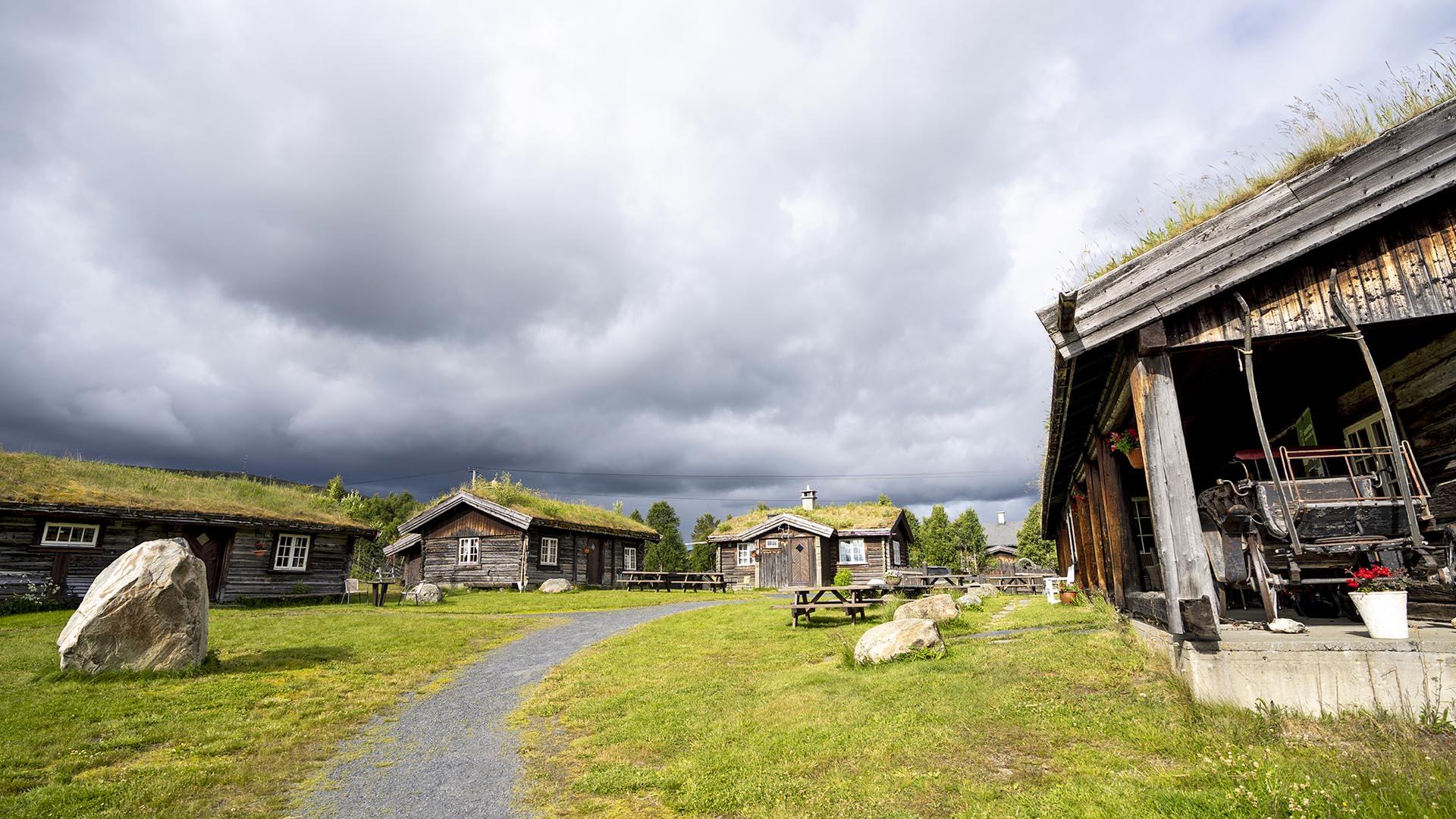 The courtyard of compound of old log cabins with green lawn and green grass roofs