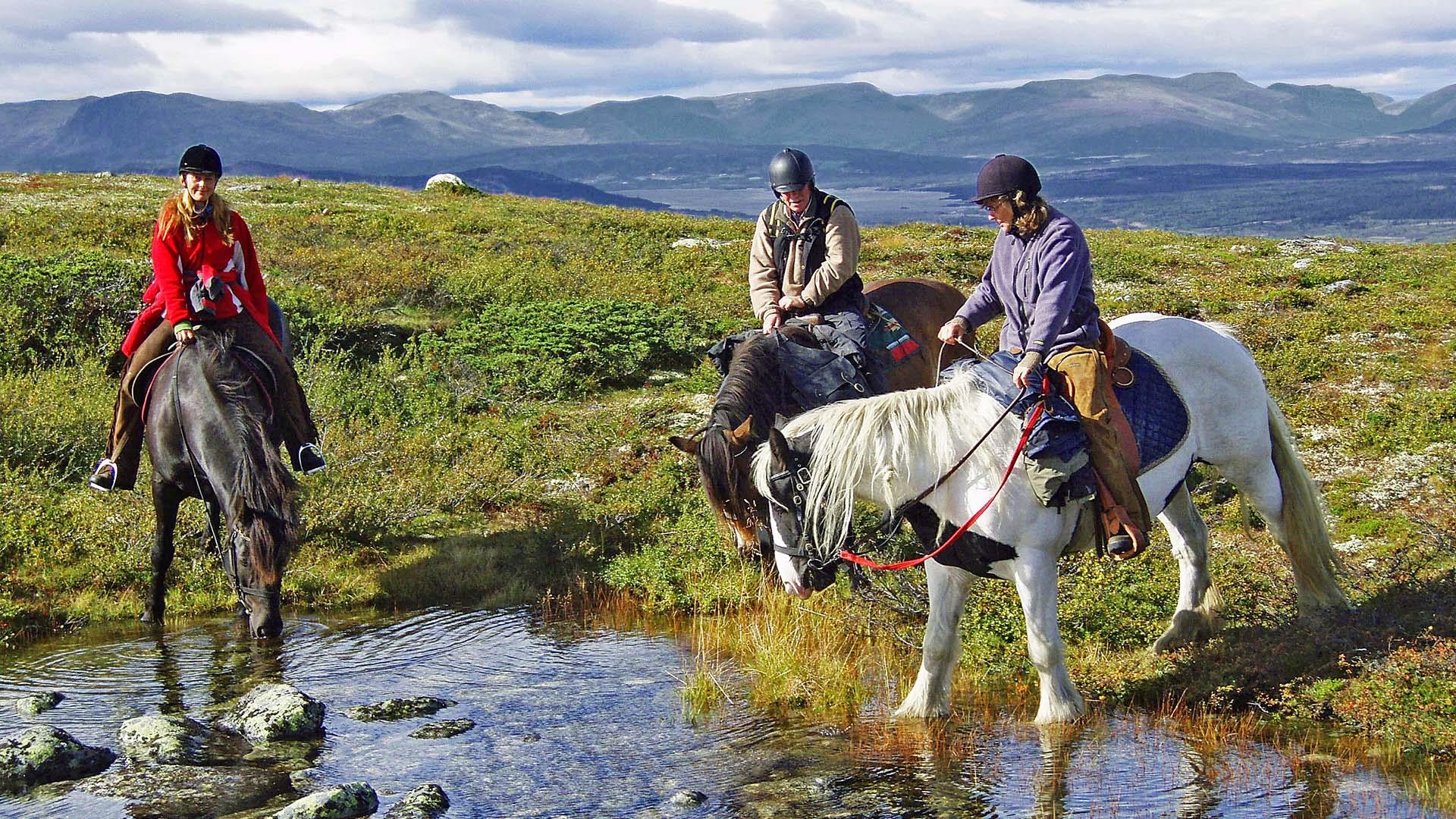 Tre ryttere krysser en liten fjellbekk i åpent fjellandskap.