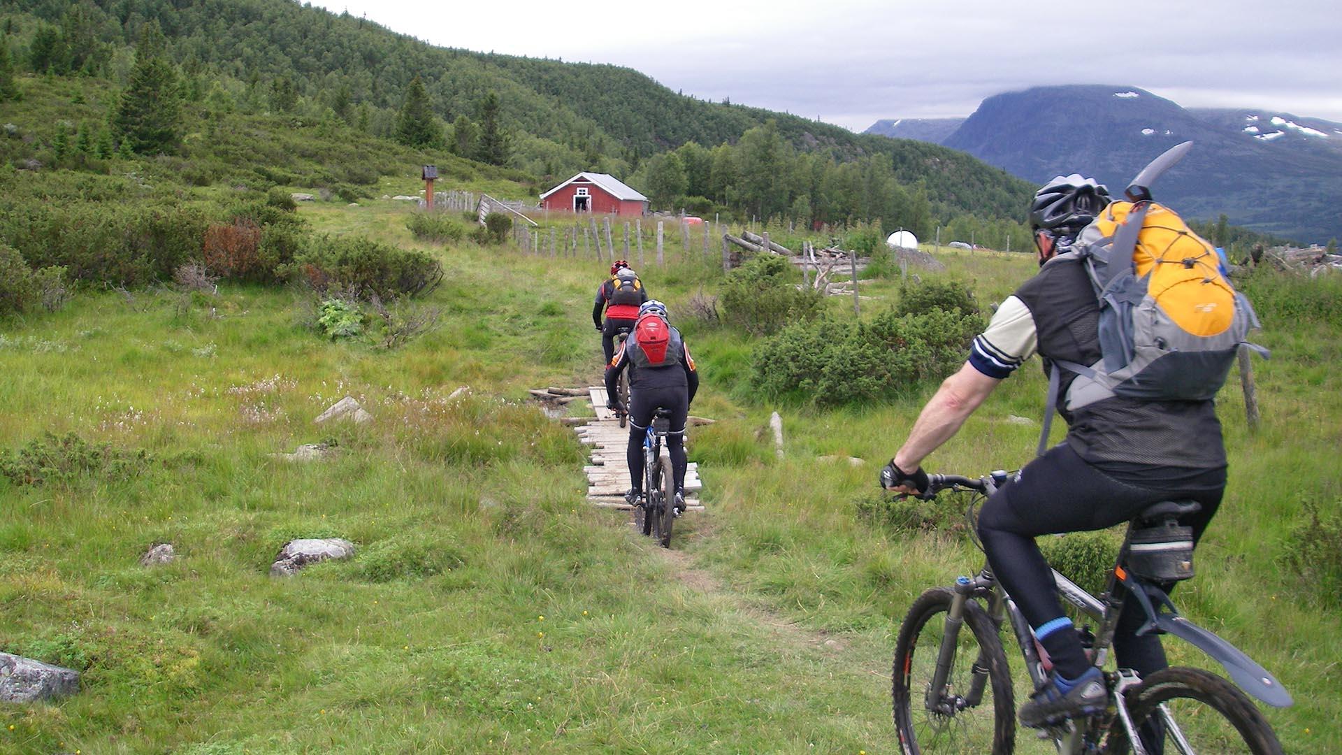 Terrengsyklister på en gressti i stølslandskap på fjellet med einerbusker og en liten stølshytte i bakgrunnen.