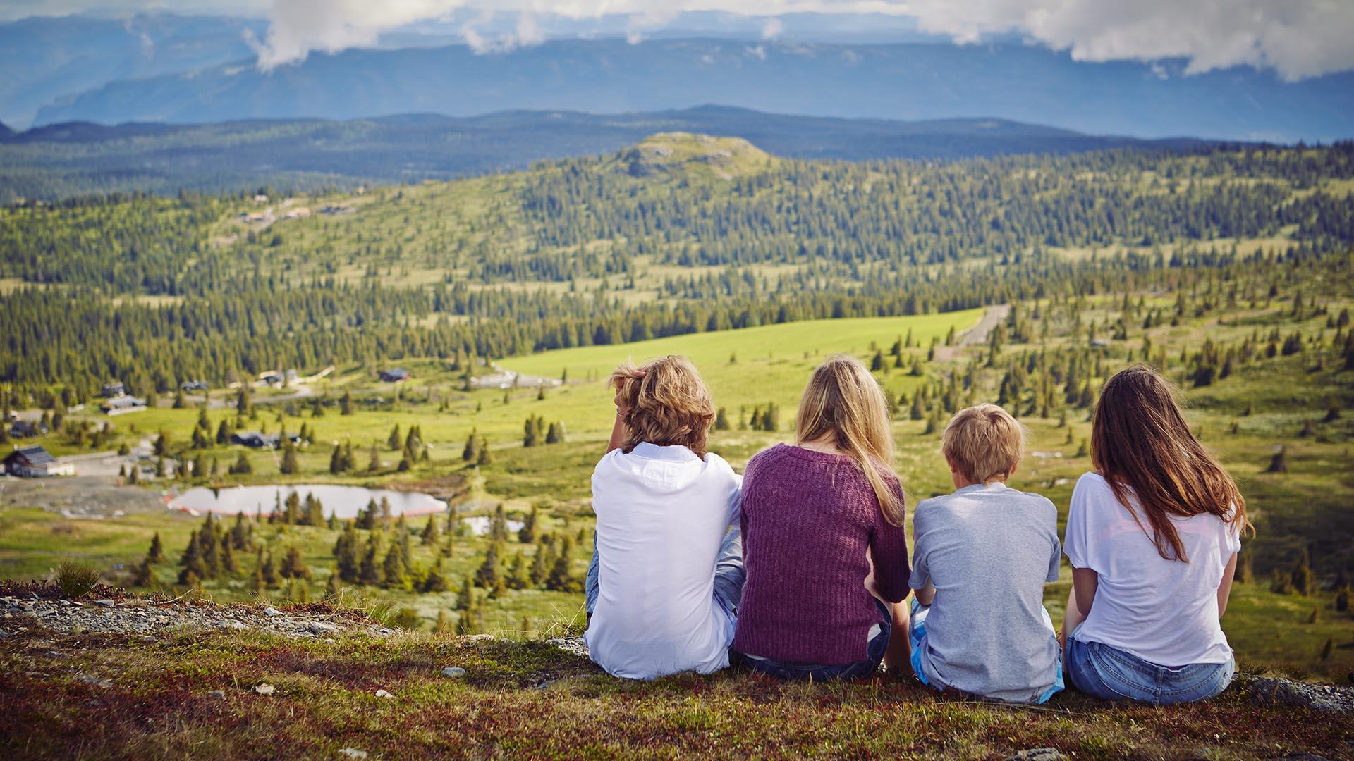 Fire damer sitter på en høyde med ryggen til fotografen og skuer utover åpent lavfjellslandskap med beiter og noe glissent granskog.