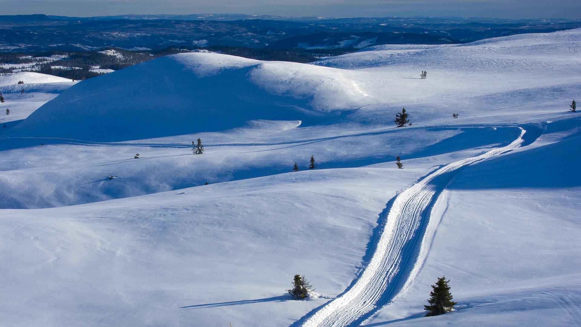 En skiløype snorer seg gjennom jomfruelig snødekt, bølgende fjellandskap med veldig spredte små grantrær. Lavt vinterlys gir spennende kontraster av lys og skygge.