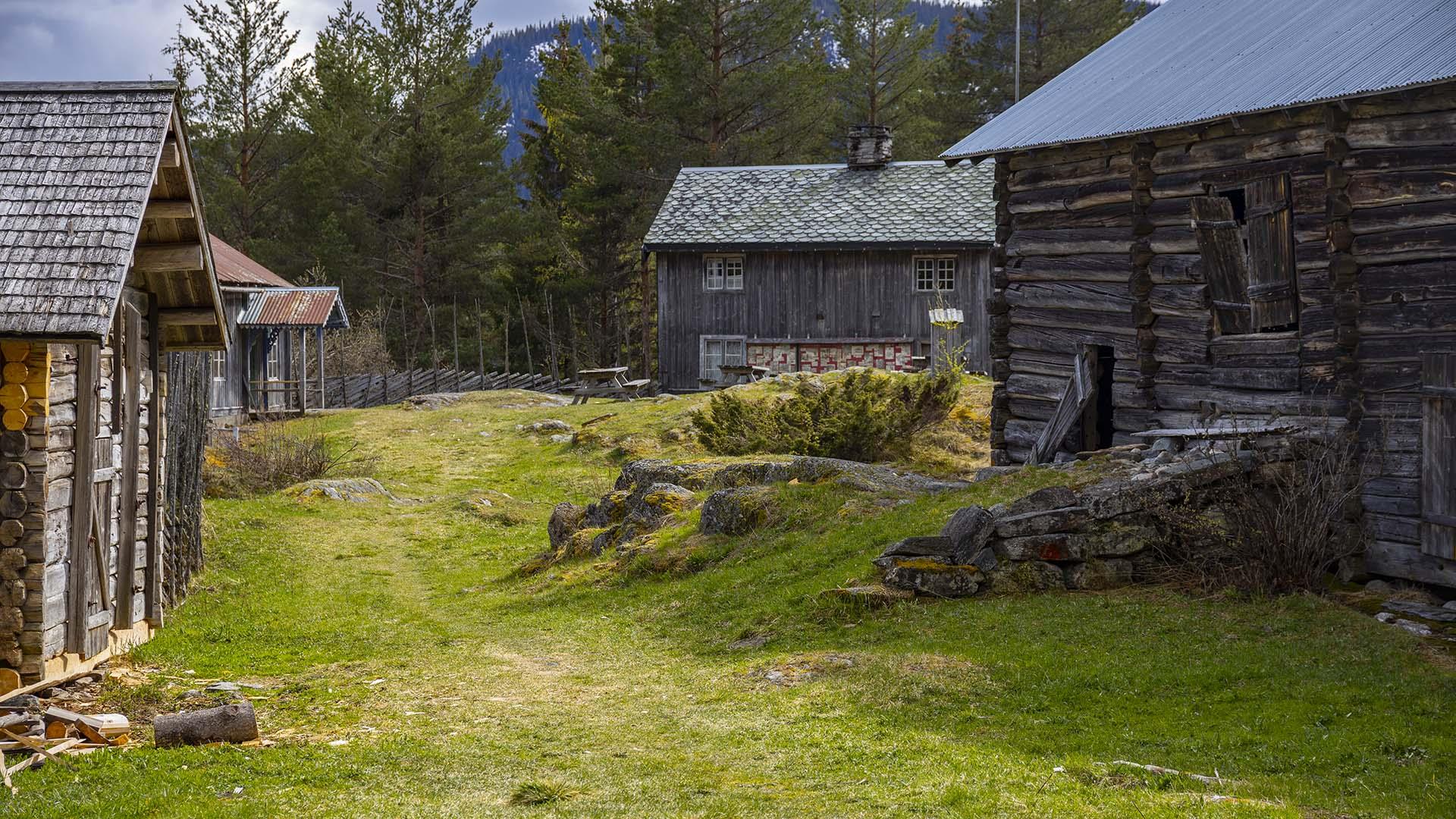 Green smallholding with four small wooden buildings.