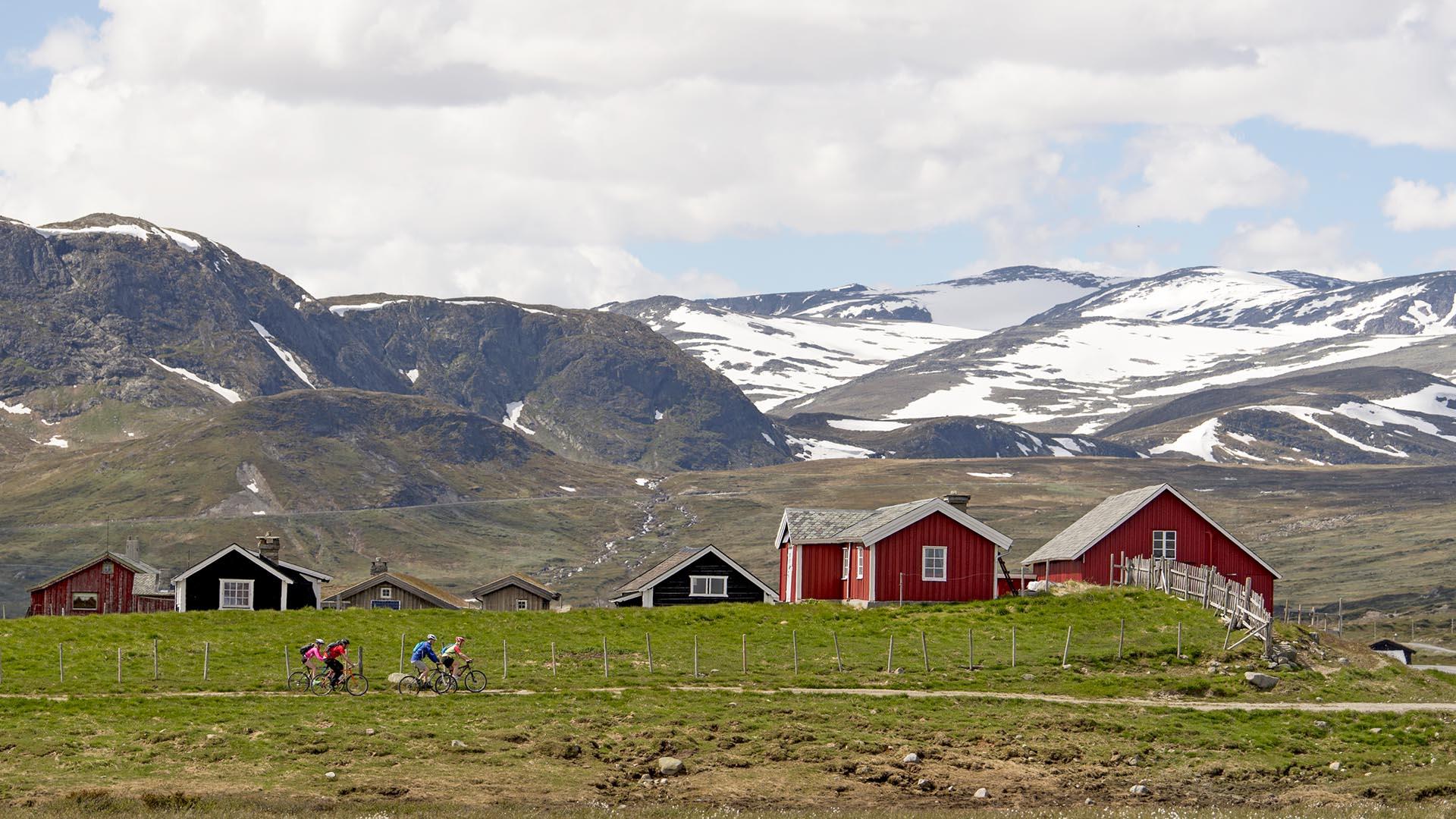 Syklister på en stølsvei som går tvers over bildet, med grønne beiter og en klynge med røde stølshus bakenfor. I bakgrunnen reiser et mektig fjellandskap seg, der det enda ligger snø.