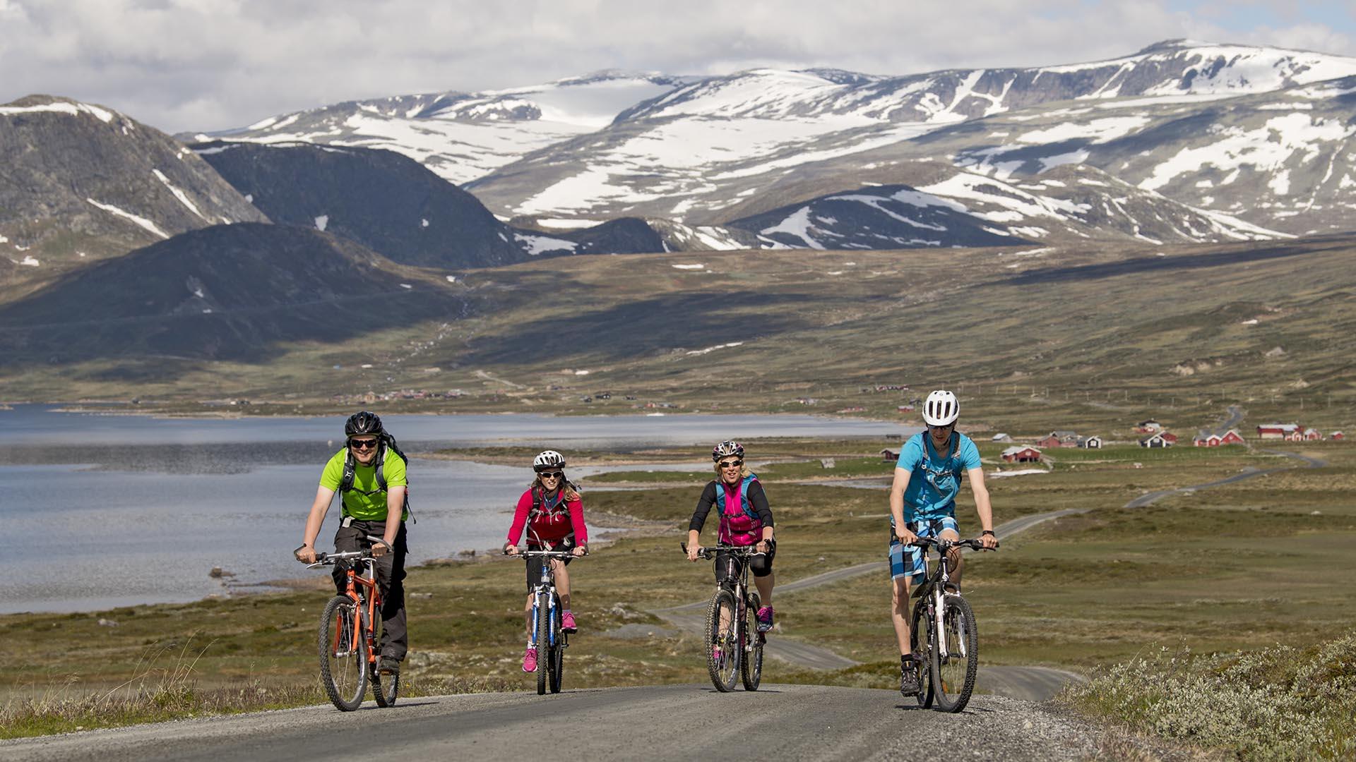 Fire syklister i fargerike sykkelklær sykler imot fotografen på en stølsvei i høyfjellet. Et stort vann og mektige fjell med snø på ses i bakgrunnen.