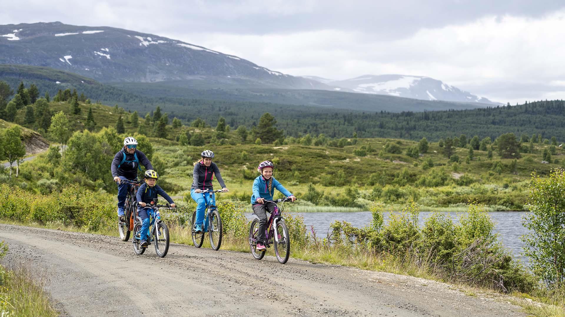 A family is cycling past a lake with lush vegetation along the road. Mountains are in the background, and the sky has dark clouds.