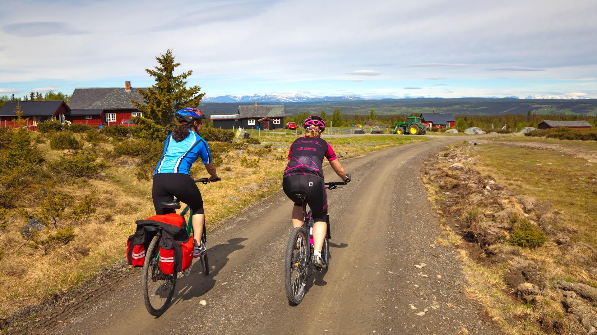 Zwei Damen auf Mountainbikes radeln auf einer Schotterstraße im Fjell im Frühsommer auf eine Alm zu, mit Traktor und ein paar Gebäuden.