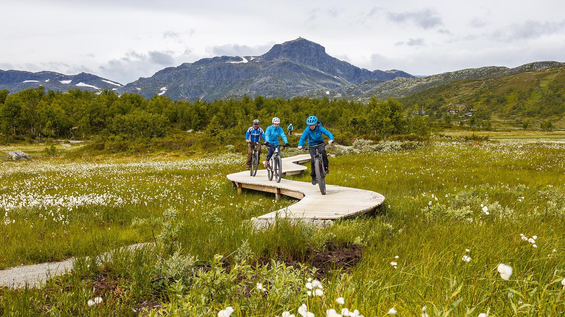 Ein nachhaltig angelegter Mountainbiking Trail mit technischem Element schlängelt sich durch einen Wollgrassumpf mit Bergen im Hintergrund.