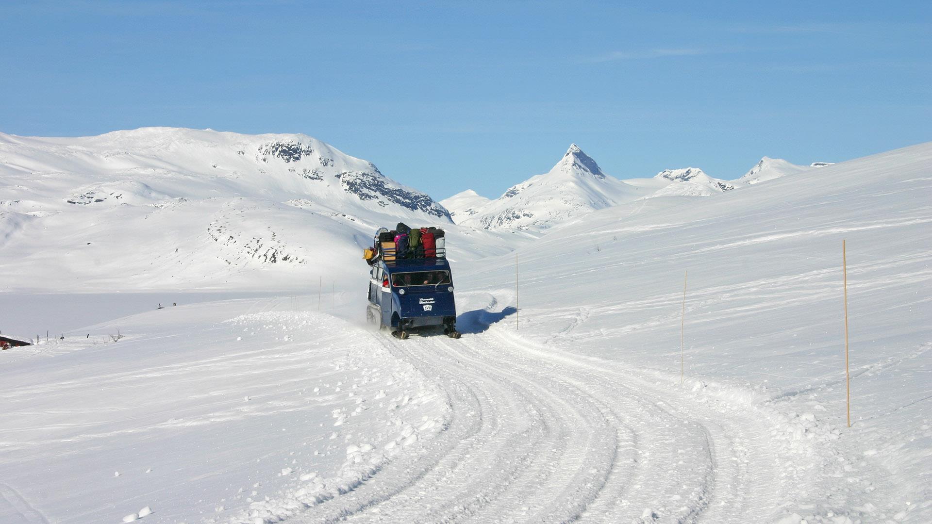 Weasel driving towards the camera a sunny wintersday with rugged snowy mountains in the background.