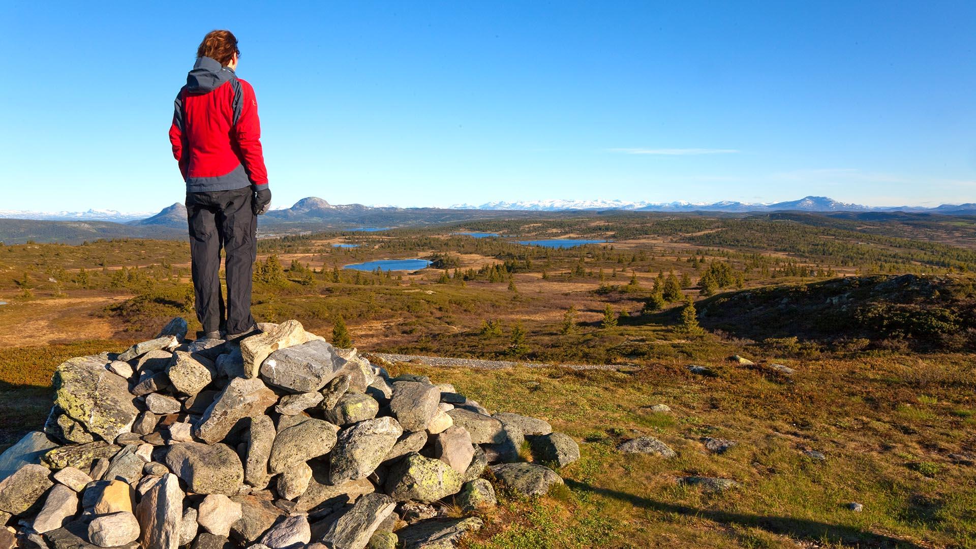 A hiker in a red jacket is standing on a pile of rocks in open low-mountain terrain over the treeline with view to distant lakes and mountains.