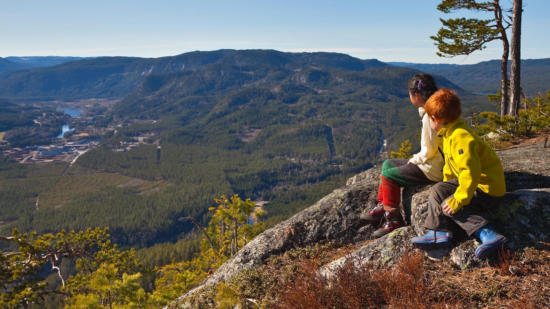 Two kids on top of a small mountain enjoying the valley view.