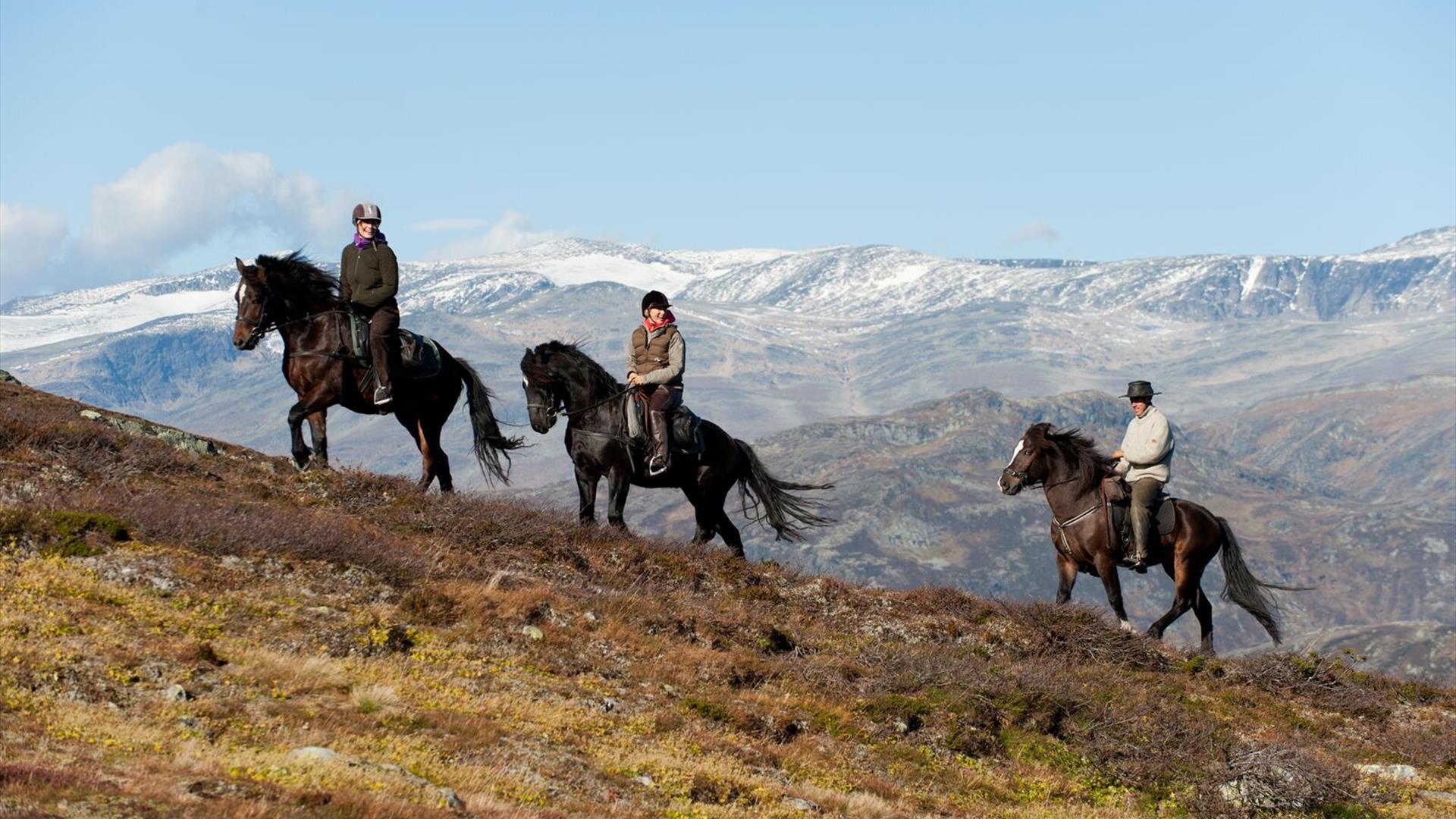 Tre på ridetur i fjellet. Flott utsikt til snødekte fjell.