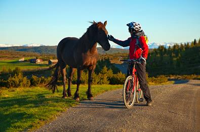 Radfahren bei Tansberg.