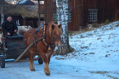 Durchblättern nach Familienveranstaltungen