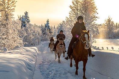 Durchblättern nach Ridning