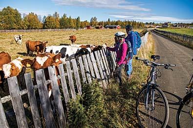 Thumbnail for Cycling in the Vaset area