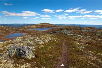 Utsikt fra Bjørgovarden i Aurdal|