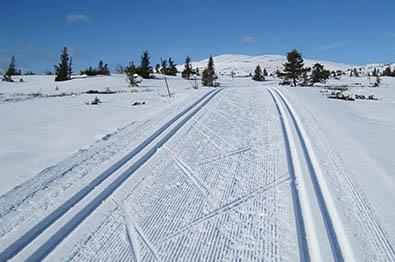 Cross country skiing in Sør-Aurdal at Hellebekk.