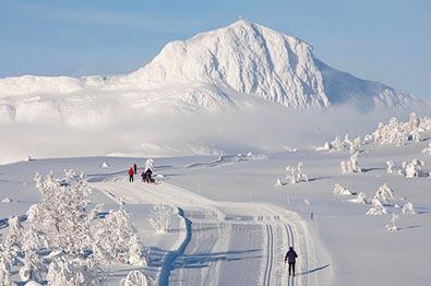 Thumbnail for Cross-Country Skiing