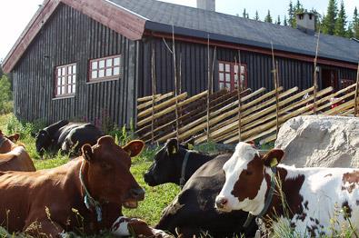 Durchblättern nach Unterkünfte entlang des Übernachtung