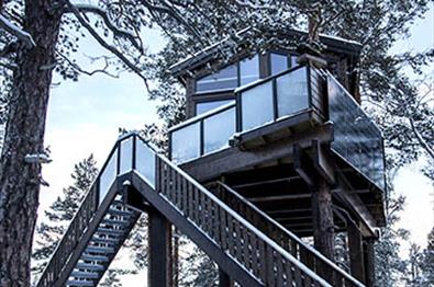 Tree top cabin in pine forest in the snow