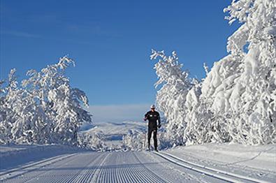 Flotte trikkeskinner med skiløper i sporet på Vaset