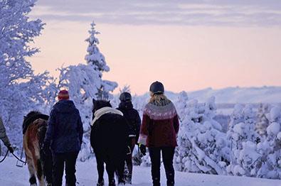 Thumbnail for Horseback Riding and Dog sledding