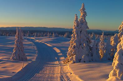Thumbnail for Jul i Valdres
