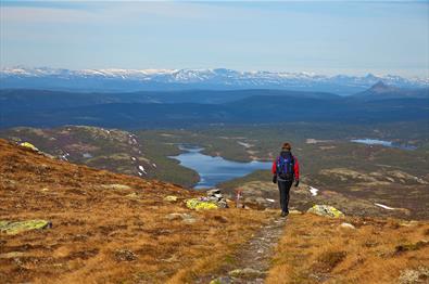 Thumbnail for Hiking in Etnedal