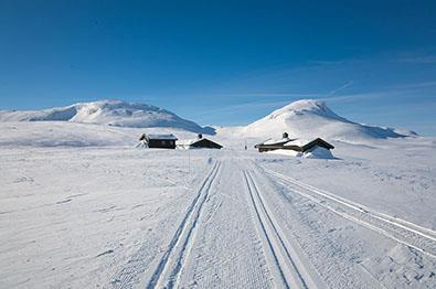 Thumbnail for DNT Mountain Cabins