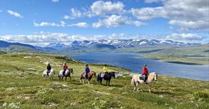 Ridetur til Olefjellet med flott utsikt til Jotunheimen og Vinstern.